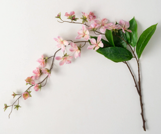 A artificial pink peach blossom stem with green leaves spread out on a white background.