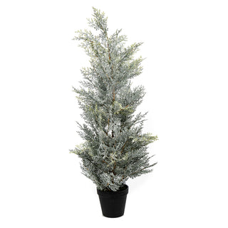 Frosted Cedar Tree 31"