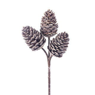 Decorative branch with three pine cones on a white background. Frosted English Pine Cone x 3