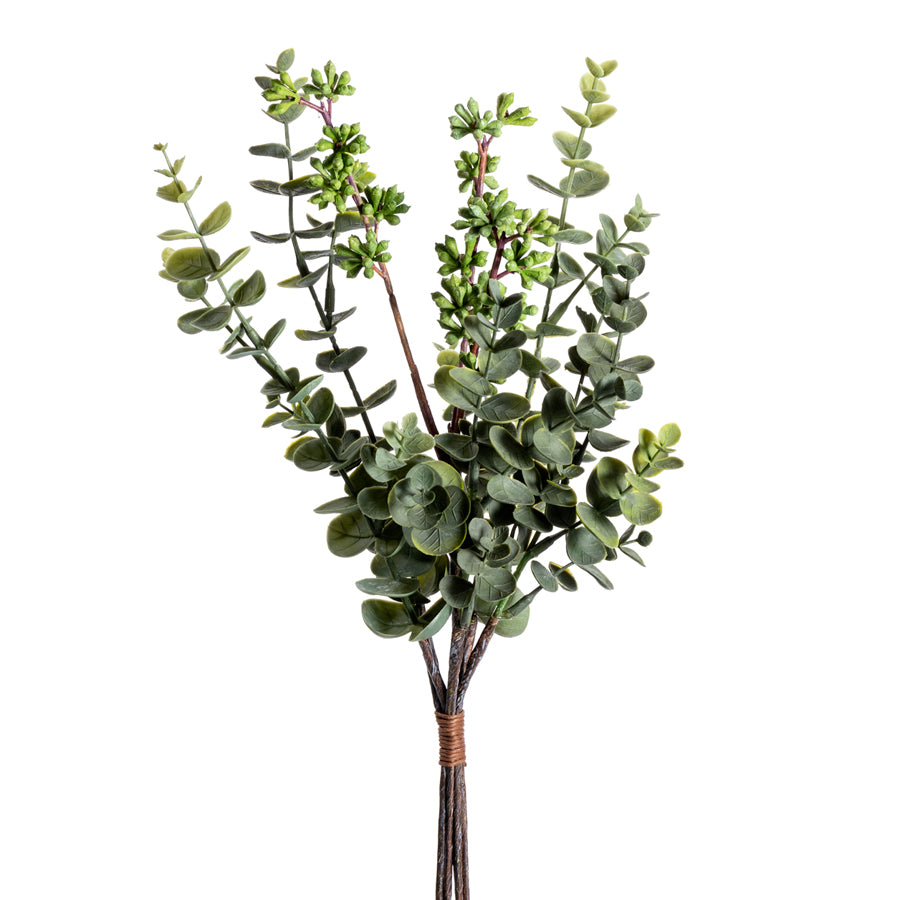 Eucalyptus Pick 16'