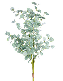 Green Eucalyptus Bundle