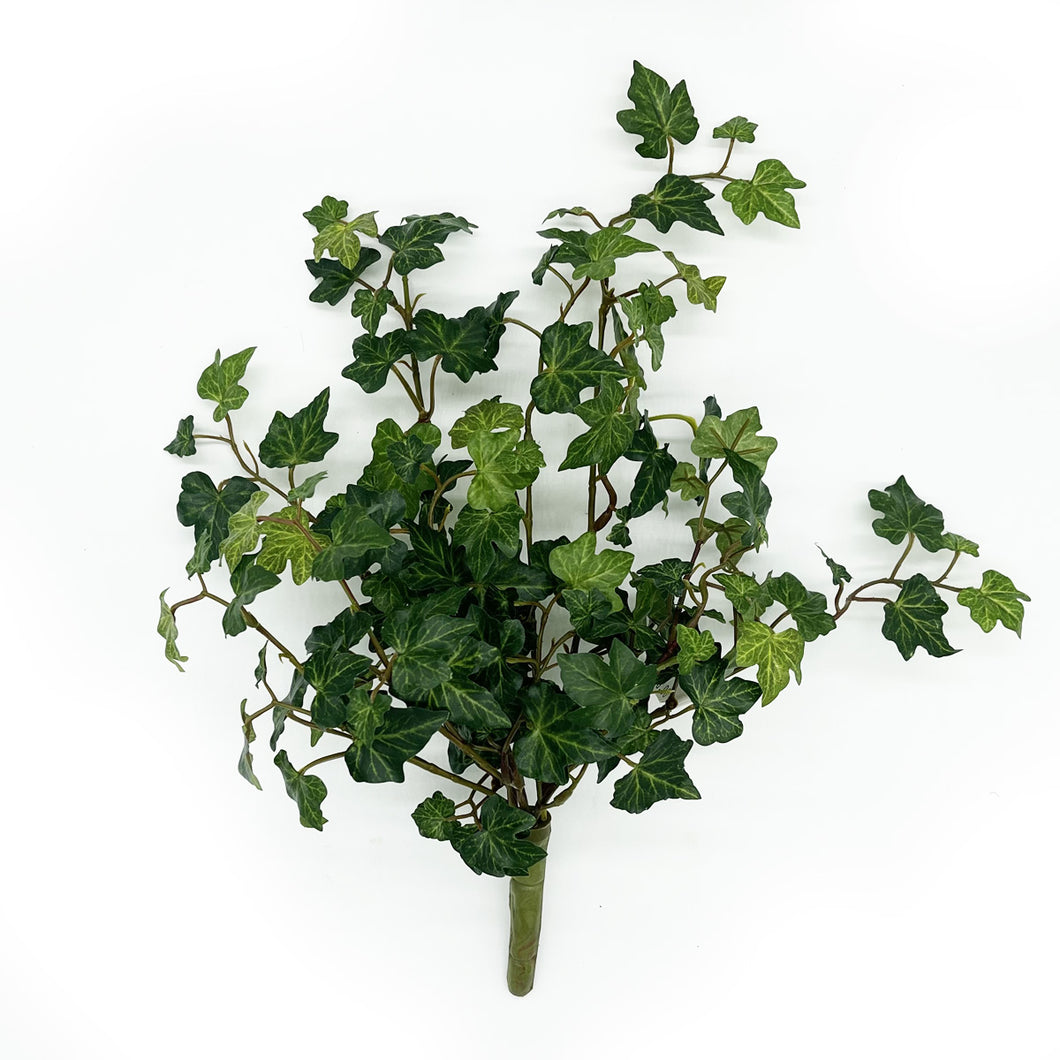 Small Lace Ivy x 8 Green