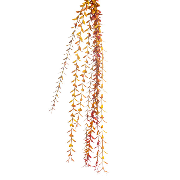 Hanging Fall Ruscus Vine