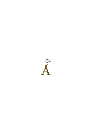 Gold Clip Charm A
