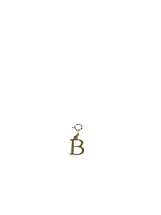 Gold Clip Charm B