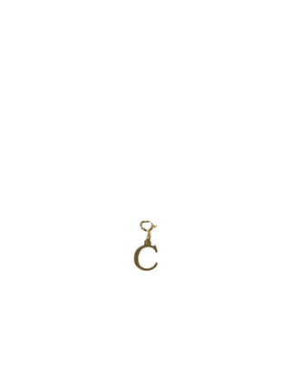 Gold Clip Charm C
