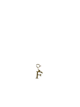 Gold Clip Charm F
