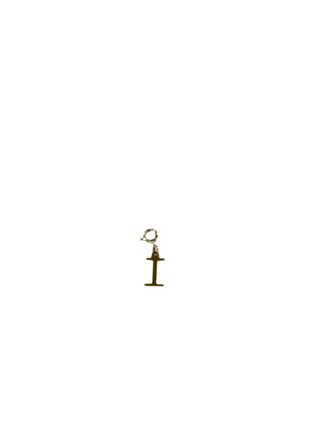 Gold Clip Charm I