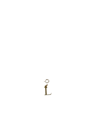 Gold Clip Charm L