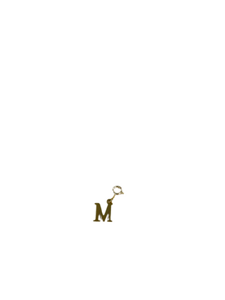 Gold Clip Charm M