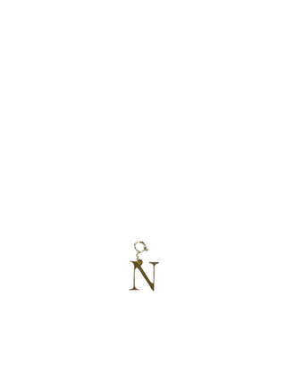Gold Clip Charm N