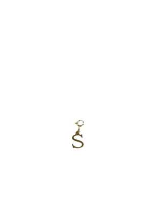 Gold Clip Charm S
