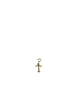 Gold Clip Charm T