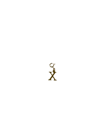 Gold Clip Charm X