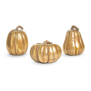 Gold Pumpkin Assorted gourd