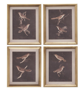 Gold Wood Framed Bird Print Assorted sepia
