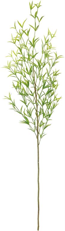 Grass Spray in Green
