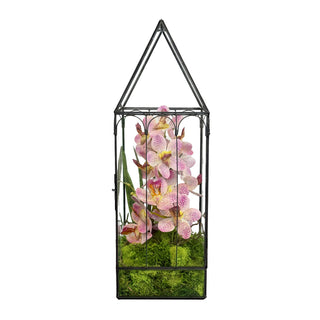 Greenhouse pink orchid arrangement in terrarium