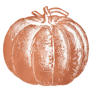 Illustration of a pumpkin on a paper placemat with a white background. Hester & Cook Die-Cut Pumpkin Placemats