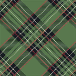 A green plaid patterned cocktail napkin. Hester & Cook Green Plaid Cocktail Napkins