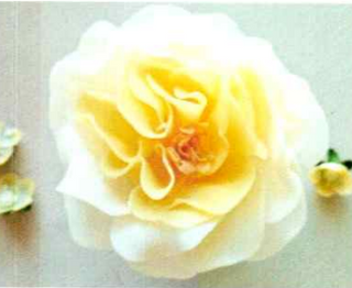 A white flower with yellow centers, petals, and leaves, with a bar of soap at the bottom. Hope Garden Petal Soap Flower
