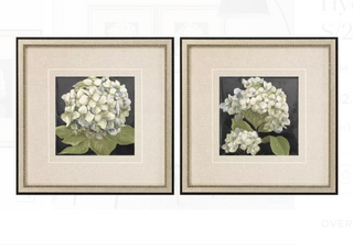 White Hydrangeas on black framed prints