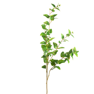 Hypericum Leaf Spray 33"