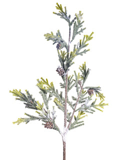 Alpine Snow Spray