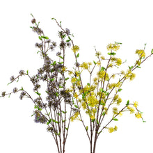 Load image into Gallery viewer, 36” Assorted Seed Bush
