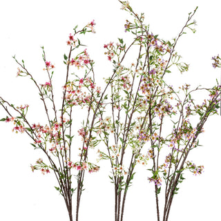 Wild Blossom x 9 Assorted