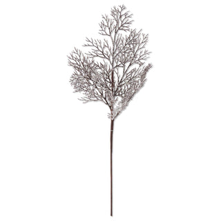 Icy Brown Twig Branch