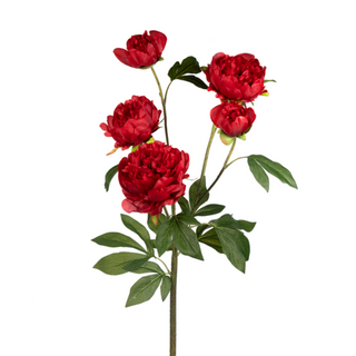 Large Red Peony Spray