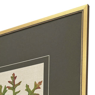 Leaf Print Artwork Assorted
Close-up of a framed botanical art print showing a decorative gold frame, dark charcoal mat, and part of the green and red brown plant illustration on a light fabric background.