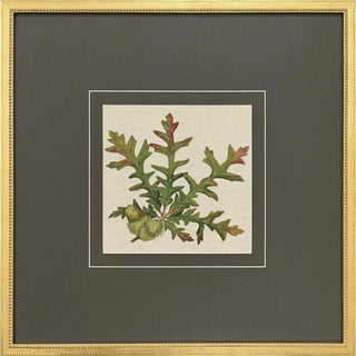 Leaf Print Artwork Assorted
Framed botanical art print featuring a detailed illustration of green and red oak leaves with acorns on a cream background, surrounded by dark gray matting and a gold frame.