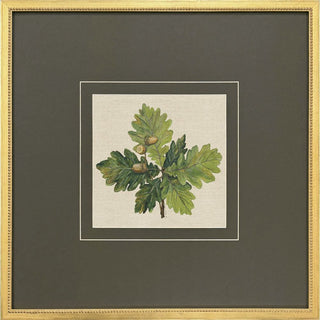 Leaf Print Artwork Assorted
Framed botanical art print featuring a green oak leaf branch with acorns on a cream background, surrounded by dark gray matting and a gold frame.