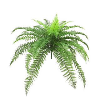 Leather Fern Bundle x 7 in Green