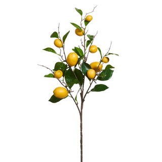 Lemon Spray 36"