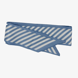 Light Blue & White Striped Narrow Silky Scarf