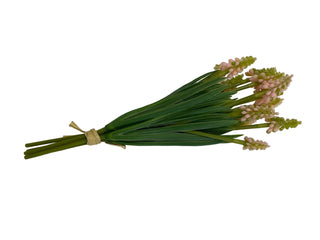 Light Pink Grape Hyacinth Bundle