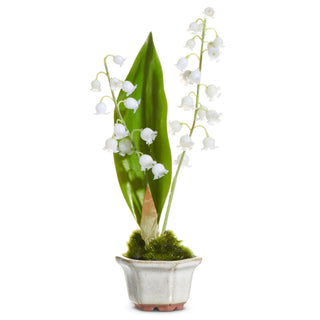 Lily of the Valley in Cachepot 7.5" white flower