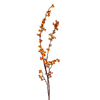 Long Bittersweet Spray, Outdoor 43"