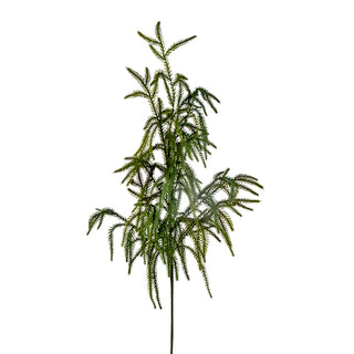 Long Norfolk Spray 35"
