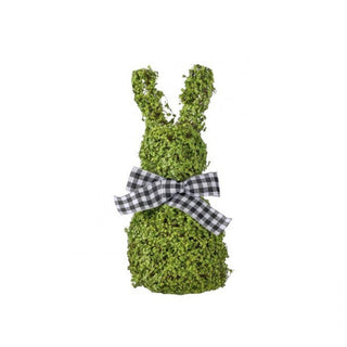 Baby Tears Vine Bunny 18"