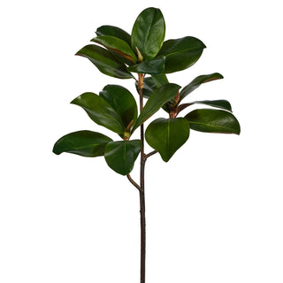 Magnolia Leaf Branch 24"