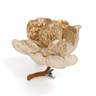 Magnolia with Clip in Champagne