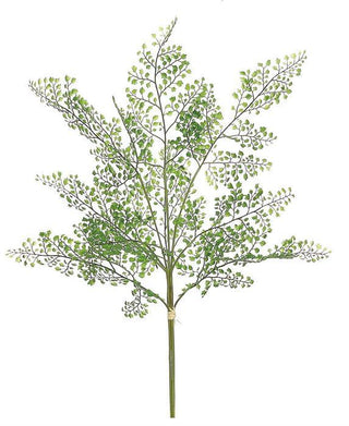 Maidenhair Fern Bundle x 3 in Green airy