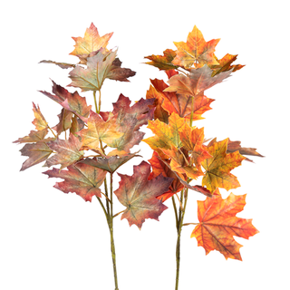 Maple Spray 30" Assorted