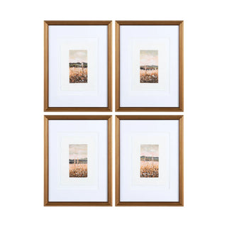 Meadows Framed Art Assorted gold frame grasses flowers