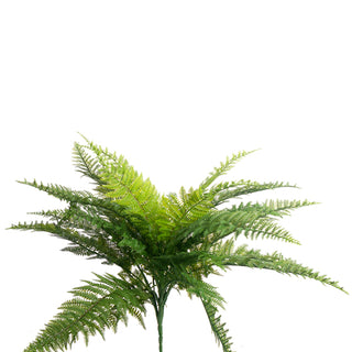 Medium Fern