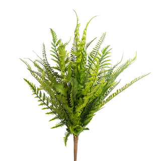 Medium Soft Touch Mixed Fern Bush 22"
